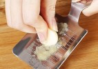 创意生姜和大蒜磨碎机