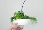 Well Light - 绿色植物悬挂灯设计
