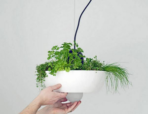 Well Light - 绿色植物悬挂灯设计