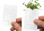 会发芽成长的迷你盆栽纸袋创意设计