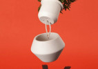 创意花盆能够自动吸水，免去每天浇水的麻烦