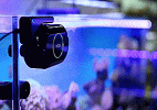 可远程遥控的自动清洗鱼缸机器人