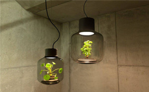 生态环保的创意植物灯（Mygdal plant light）