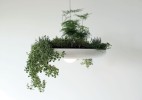 设计事务所studio O/I设计的可种植灯具babylon