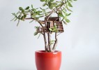 微型迷你树屋创意摄影艺术作品