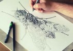 超细致的昆虫画作
