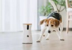 可以丢零食的智能摄影机Furbo