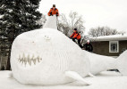 Minnesota巨大的雪鲨