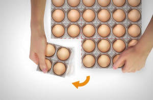 自定义模块的创意鸡蛋收纳盒