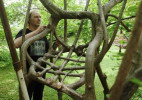 奥地利艺术家打造自然生长树椅 耗时20年完成