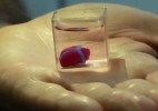 以色列研究人员利用3D打印出人造心脏