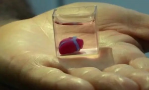 以色列研究人员利用3D打印出人造心脏