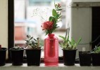 三星推出灭火花瓶,灭火简单粗暴