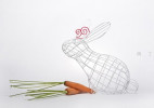 有趣的铁丝动物篮子创意手工造型设计作品