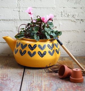 利用废旧茶壶制作属于自己的个性花盆