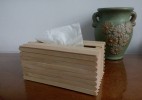 雪糕棒手工DIY 实用抽纸盒的做法图解教程