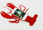 超屌龙虾手机套和鲸鱼手机套创意产品