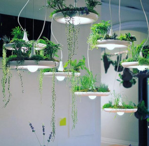 美观实用的盆栽吊灯