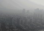 空气净化人工树,超强净化能力,一棵能敌几百棵真树