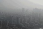 空气净化人工树,超强净化能力,一棵能敌几百棵真树