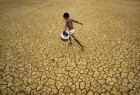 Warka Water 自动供水的水塔