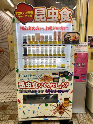 日本街头现昆虫零食自动贩卖机 更有一款适合你