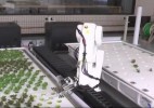 种植全靠机器手的无人农场,产量比传统种植高30倍