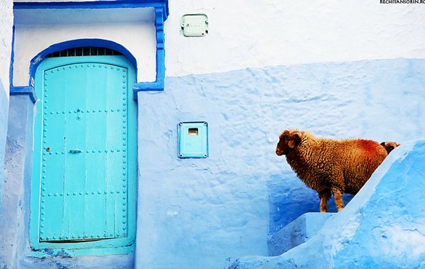 摩洛哥萧安小镇 - 一个充满诗情画意的蓝色天堂