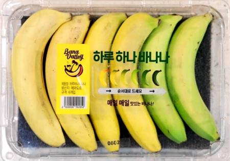 创意包装 每天都能吃到刚好成熟的香蕉