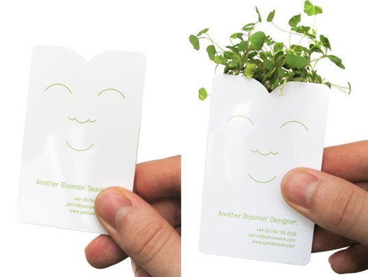 会发芽成长的迷你盆栽纸袋创意设计