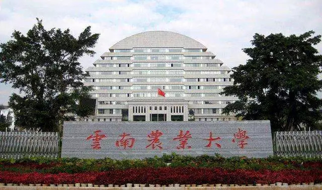 2018中国十大丑陋建筑，每年都能丑出新高度