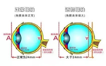 岛国推出电子变焦眼镜，能让你同时看清远近的物体