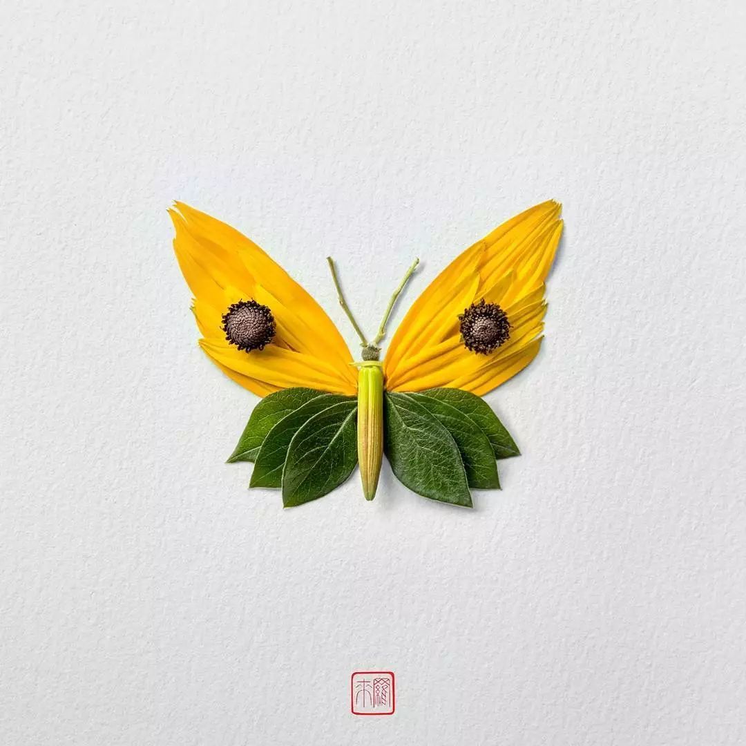 NATURA INSECTS 精美的手工制作的花卉昆虫