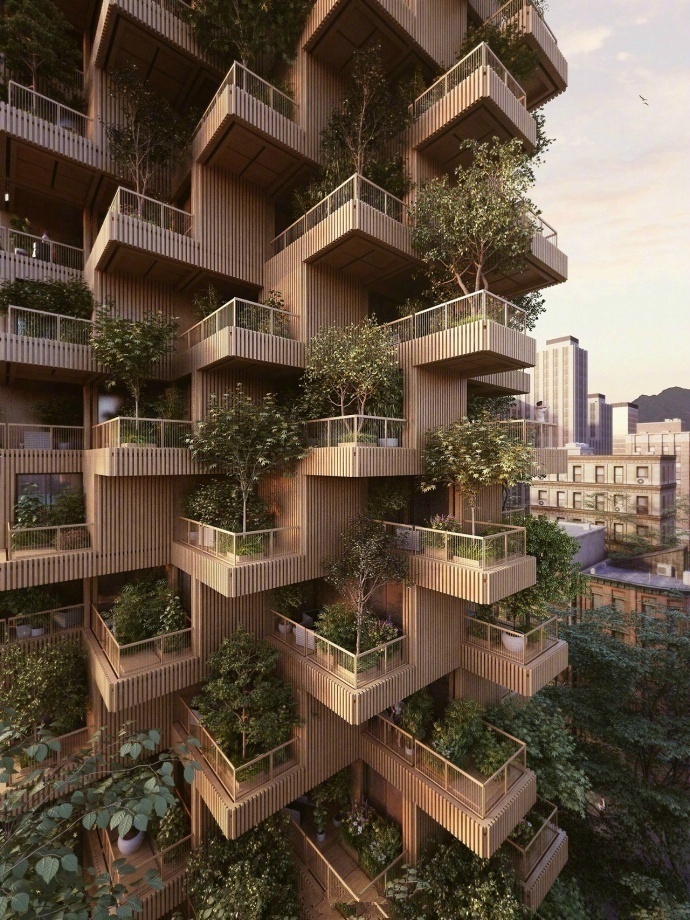 交叉复合木材的 “摩天树塔”建筑大楼