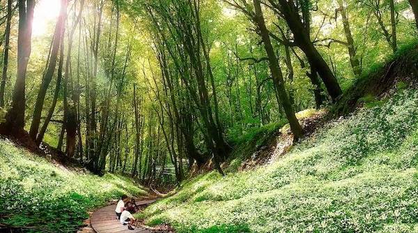 同样是公园，土耳其的森林公园却美得像人间仙境！