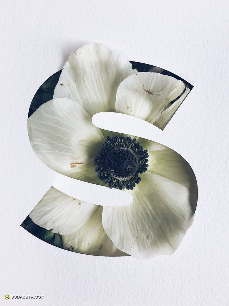Julia Losfelt 花卉字母设计欣赏