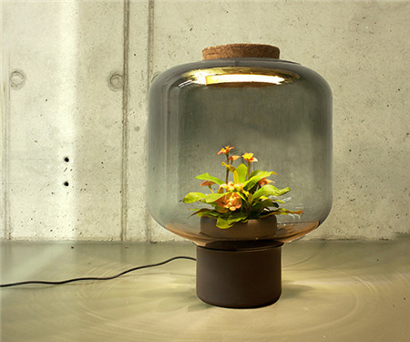 生态环保的创意植物灯（Mygdal plant light）