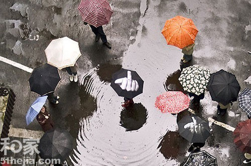 45把超实用又有趣的雨伞