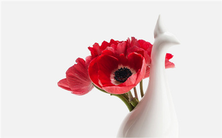 韩国孔雀创意花瓶（Peako vase）