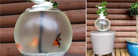 绿植与鱼儿共生的创意鱼缸（duckponics）