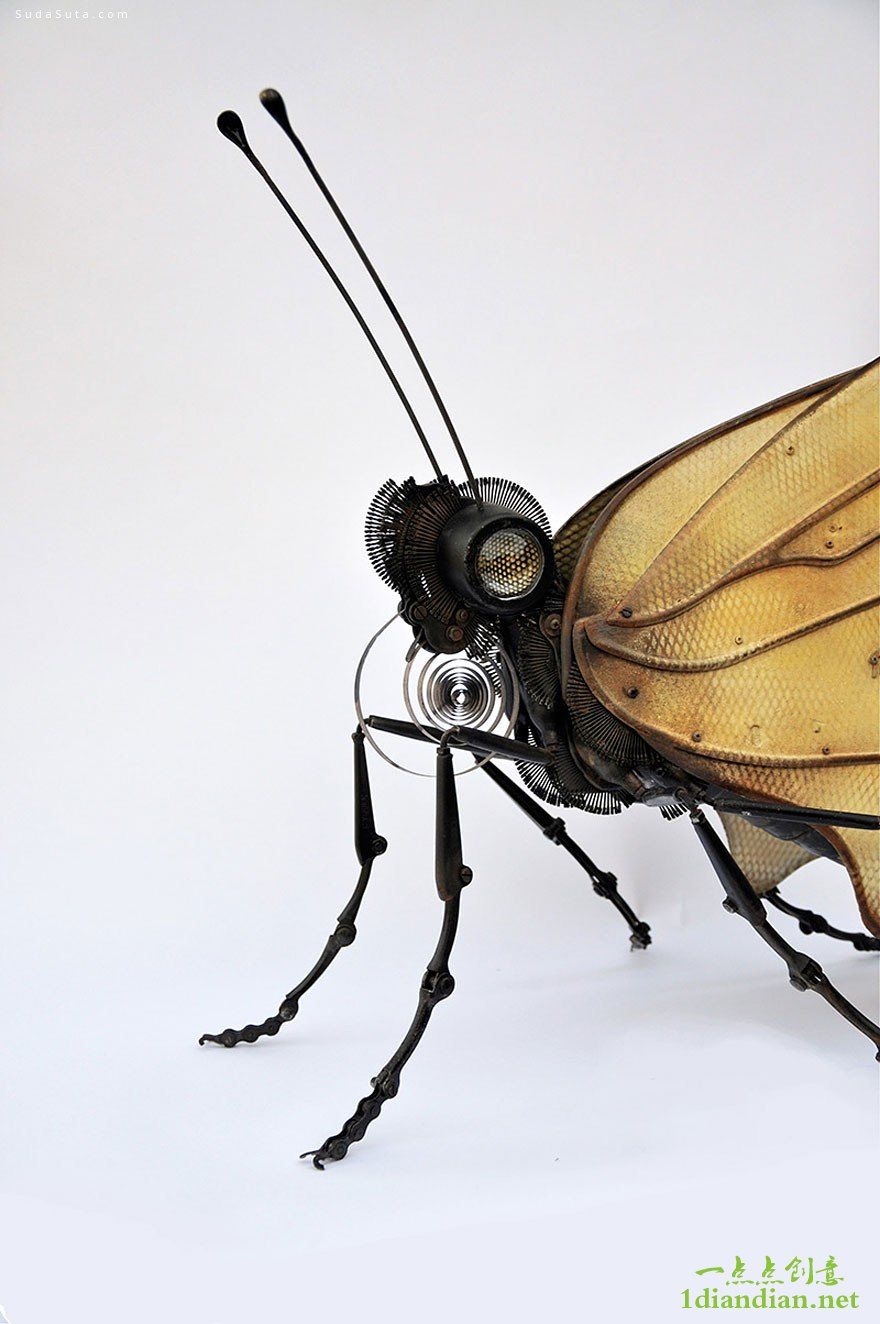 Edouard Martinet 蒸汽时代 手工昆虫设计