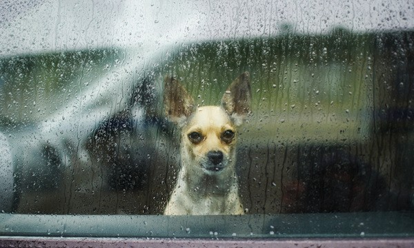 雨天拍照技巧，如何拍出雨天的那些小情绪？