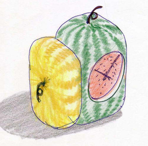 阳光的水果时钟（Fruit Clock）