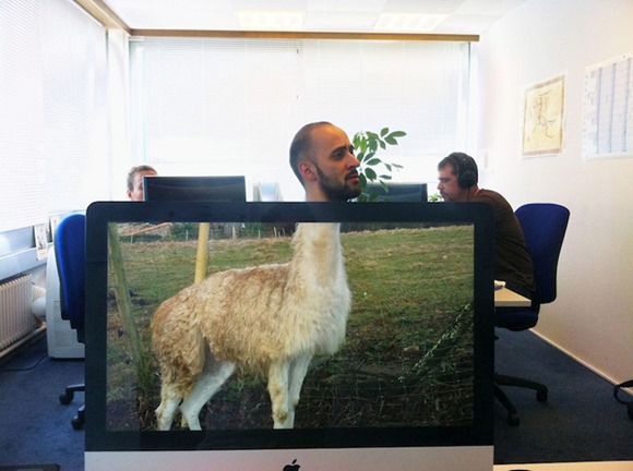 Desk Safari桌面上的野生动物