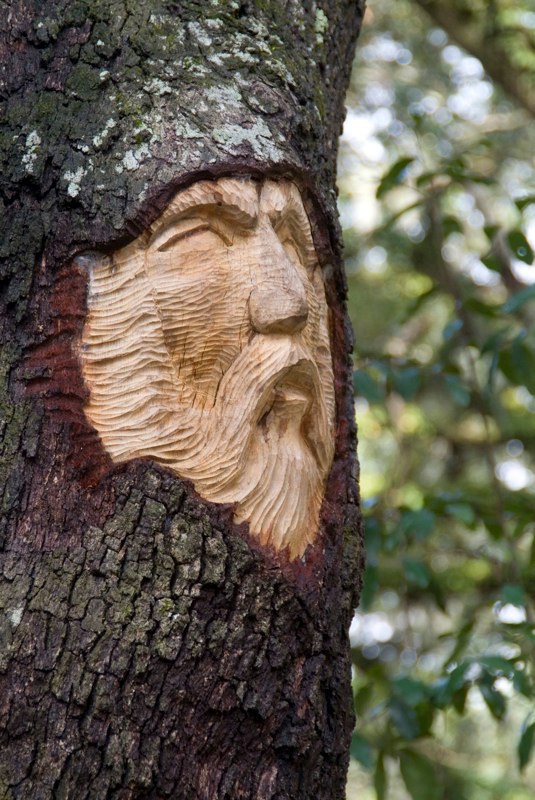 Keith Jennings 树木艺术雕刻