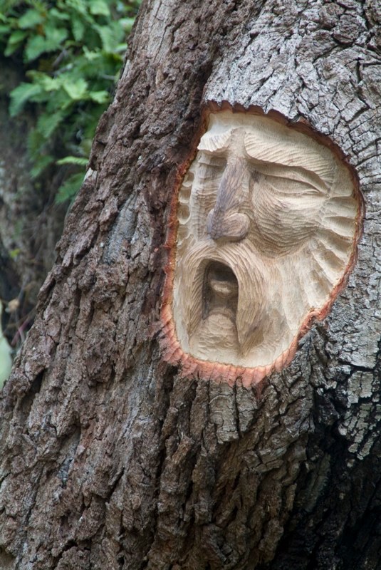 Keith Jennings 树木艺术雕刻