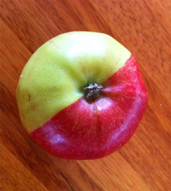 基因突变的苹果