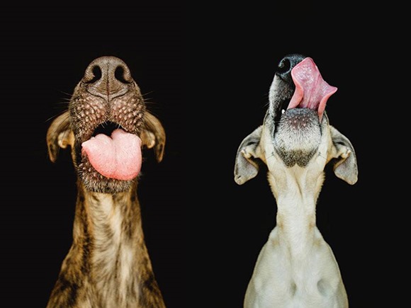 Elke Vogelsang 鼻子翘上天