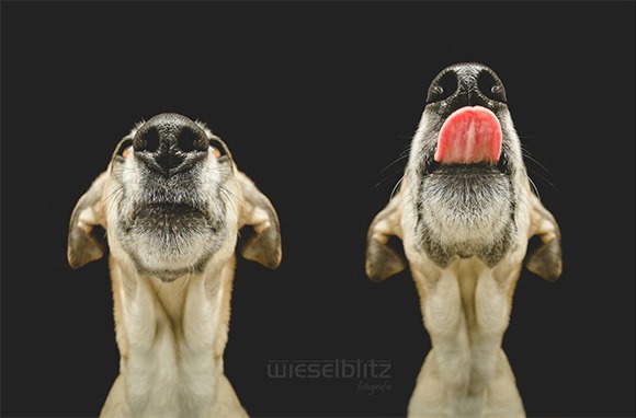 Elke Vogelsang 鼻子翘上天