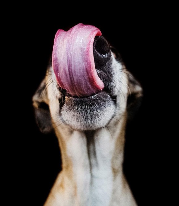 Elke Vogelsang 鼻子翘上天